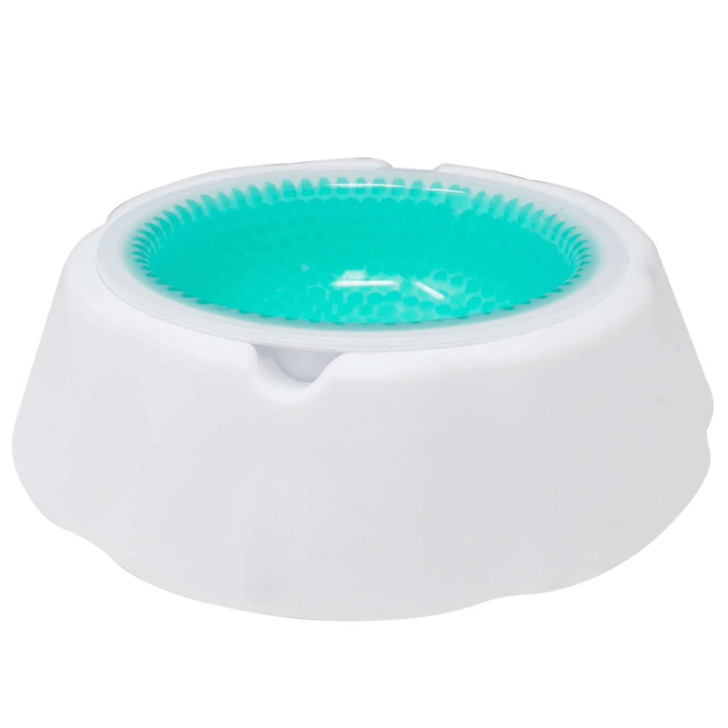 Bebedero para mascota conservador de Agua Fría