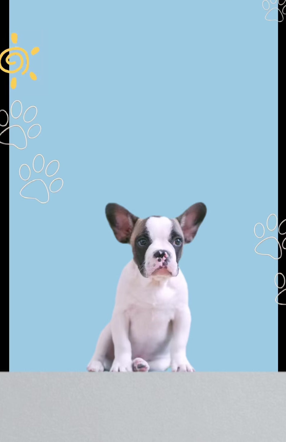 Manta Refrigerante Para Mascota 40x50