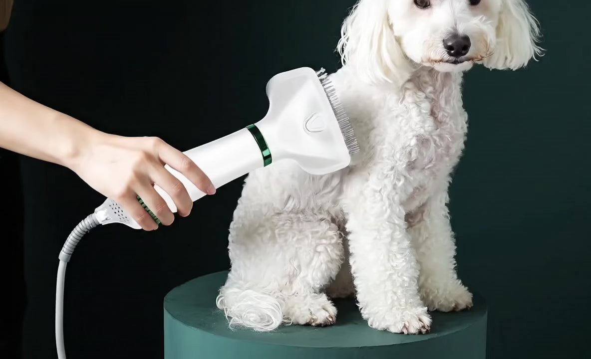 Cepillo y Secador de Mascotas 2 En 1