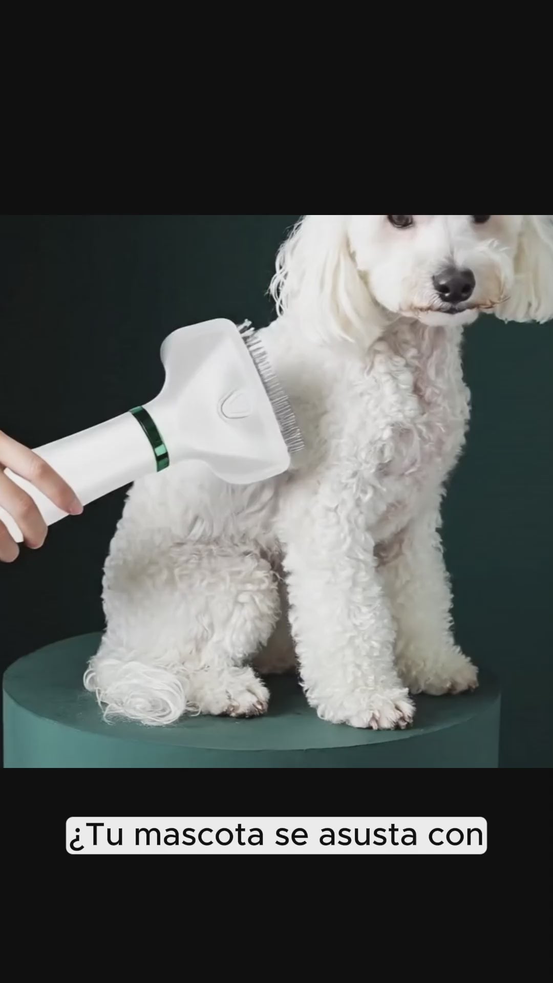 Cepillo y Secador de Mascotas 2 En 1